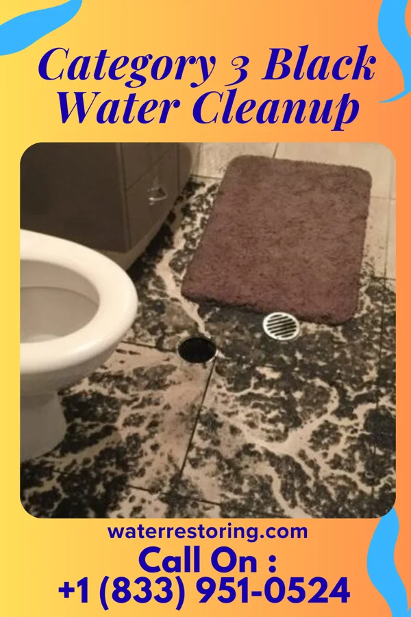 Category 3 Black Water Cleanup in Luther, MI