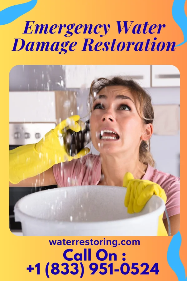 Emergency Water Damage Restoration in Luther, MI