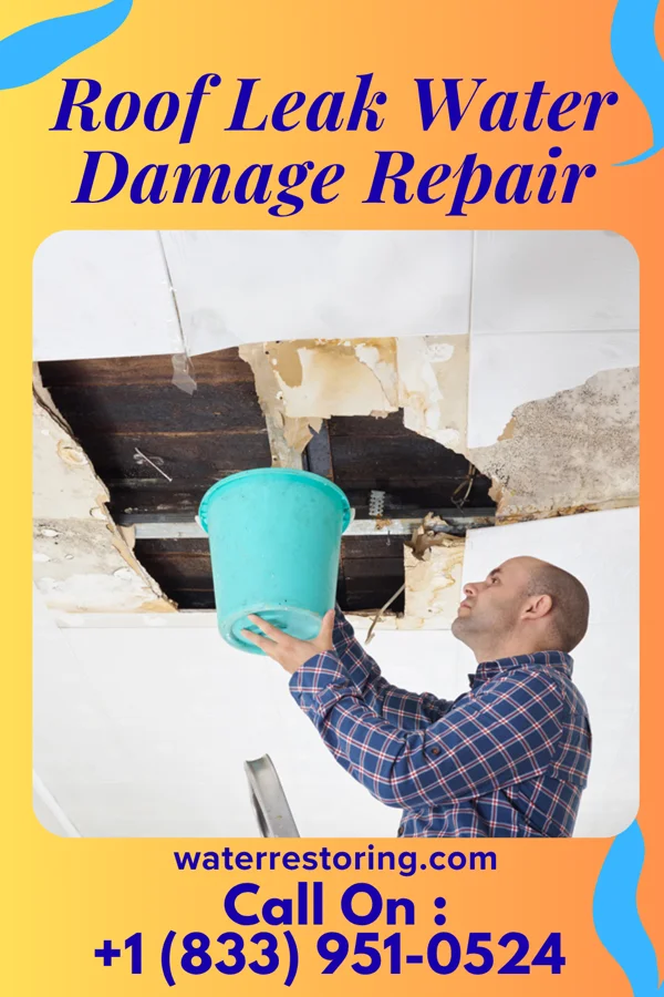 Roof Leak Water Damage Repair in Luther, MI