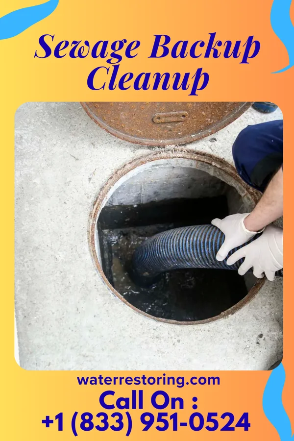 Sewage Backup Cleanup in Luther, MI