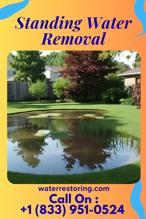 Standing Water Removal in Luther, MI